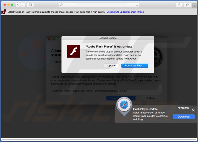 adobe flash update for mac safari